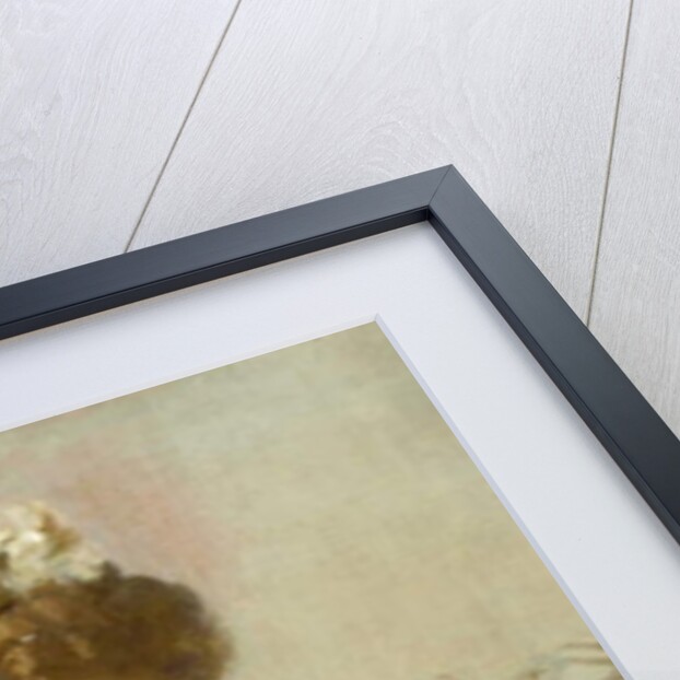 The Love Letter by Jessie Elliot Gorst