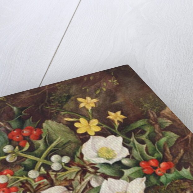 Holly and Christmas Roses by Jane Taylor