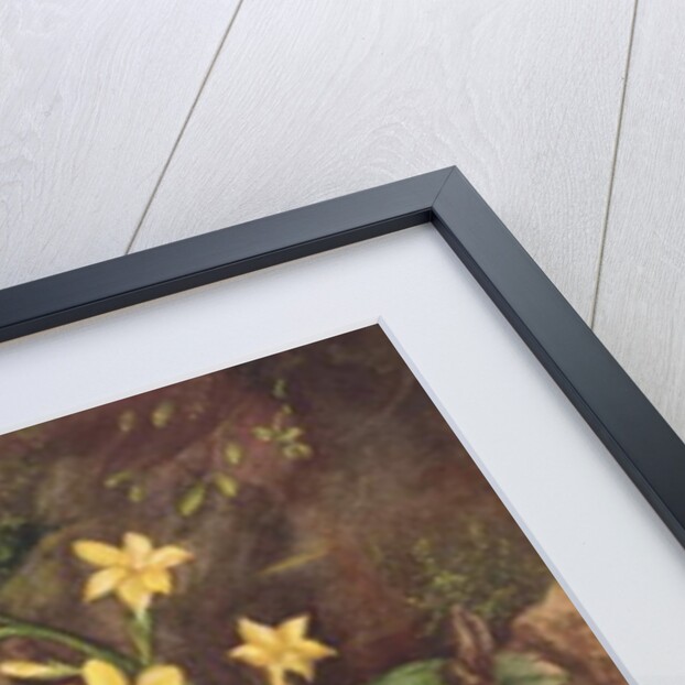 Holly and Christmas Roses by Jane Taylor