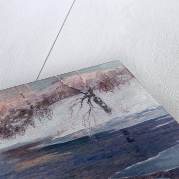 Snow Scene by Albert Julius Olsson