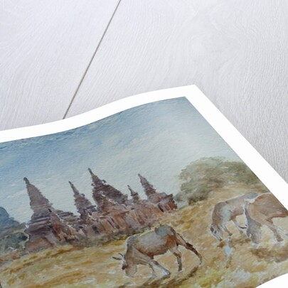 900 From Laymyethna, Bagan by Clive Wilson