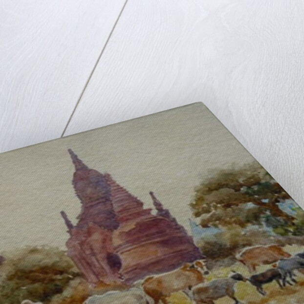 901 Bagan, herding among the temples by Clive Wilson