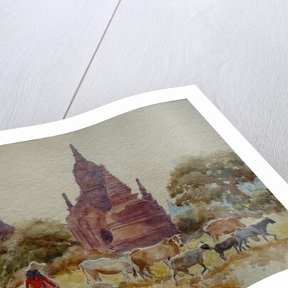 901 Bagan, herding among the temples by Clive Wilson