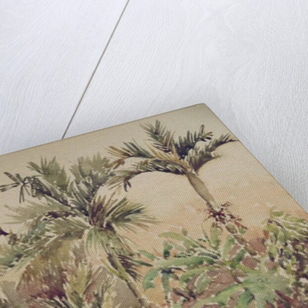 731 Pepper, bananas & areca nuts by Clive Wilson