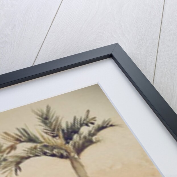 731 Pepper, bananas & areca nuts by Clive Wilson