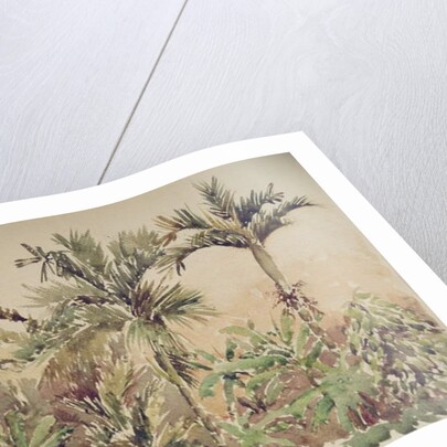 731 Pepper, bananas & areca nuts by Clive Wilson