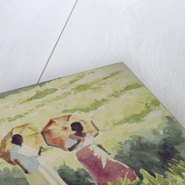 746 Sunshades, Ramboda by Clive Wilson