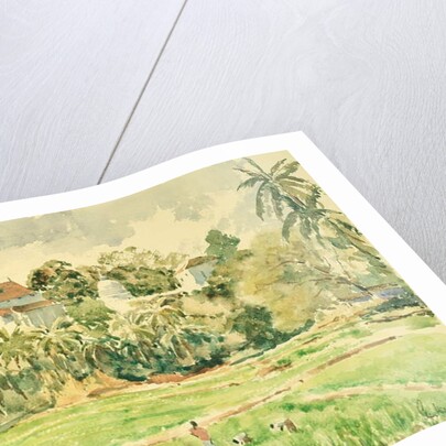 718 Lankatilaka from the paddy fields by Clive Wilson