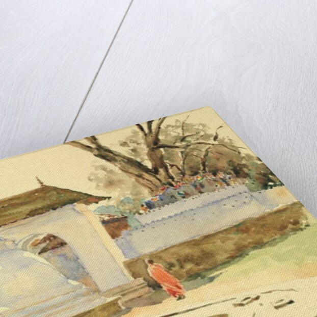 720 The Bodhi Tree, Kandy by Clive Wilson