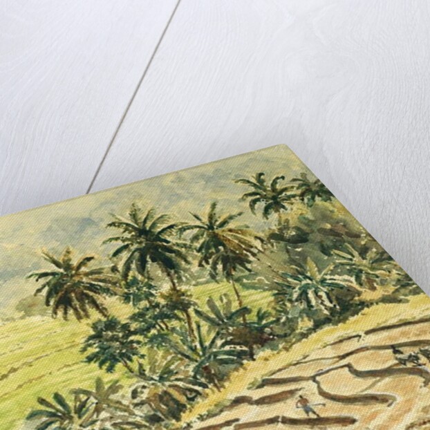 741 Dunhinda, preparing the paddy fields by Clive Wilson