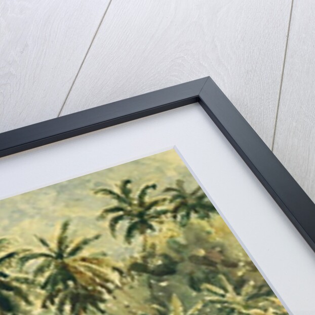 741 Dunhinda, preparing the paddy fields by Clive Wilson