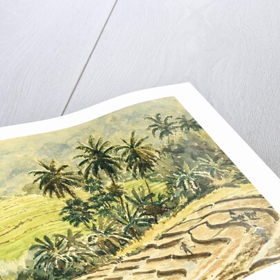 741 Dunhinda, preparing the paddy fields by Clive Wilson