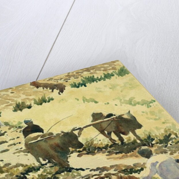 753 Preparing the paddy field by Clive Wilson