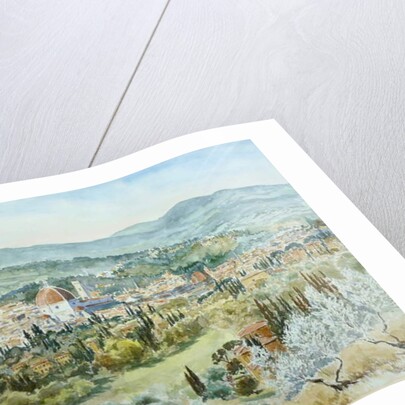 191 From Villa Bellagio - clear morning by Clive Wilson