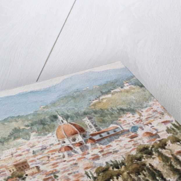 961 From Fiesole, early summer by Clive Wilson