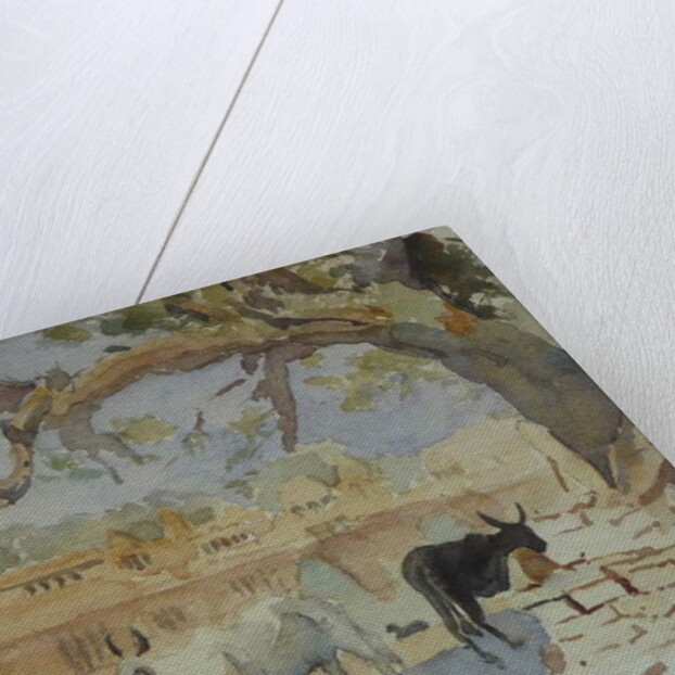 435A Jaisalmer - Gadi Sagar by Clive Wilson