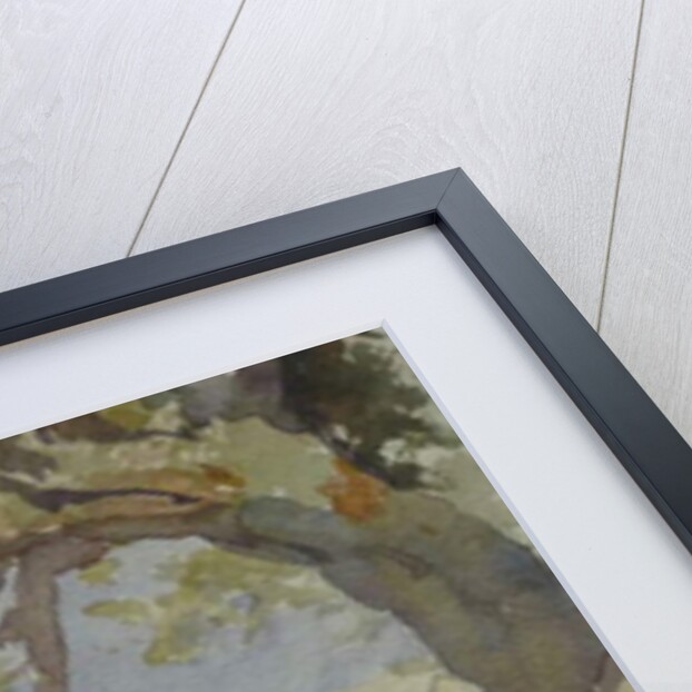 435A Jaisalmer - Gadi Sagar by Clive Wilson