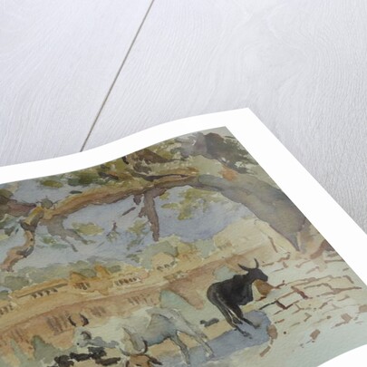 435A Jaisalmer - Gadi Sagar by Clive Wilson