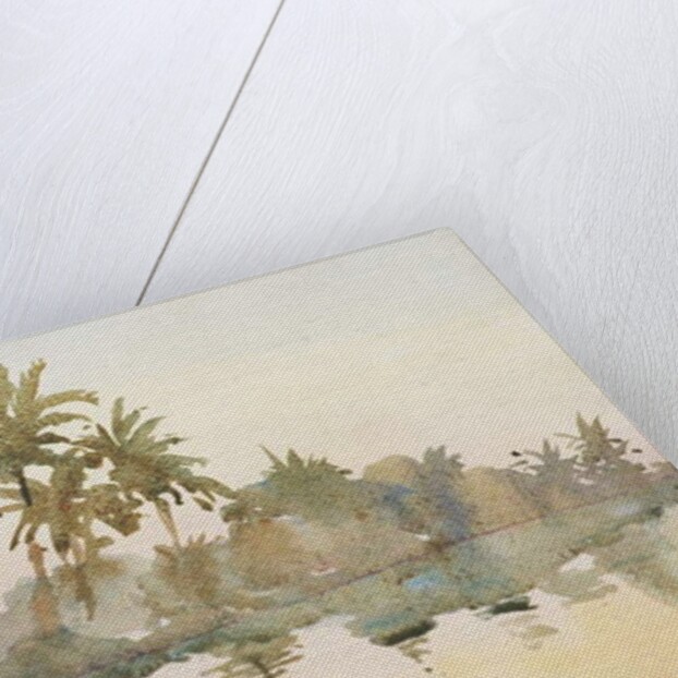 614 Dawn on the backwaters by Clive Wilson