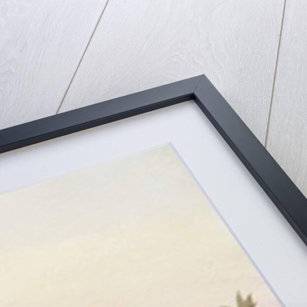 614 Dawn on the backwaters by Clive Wilson