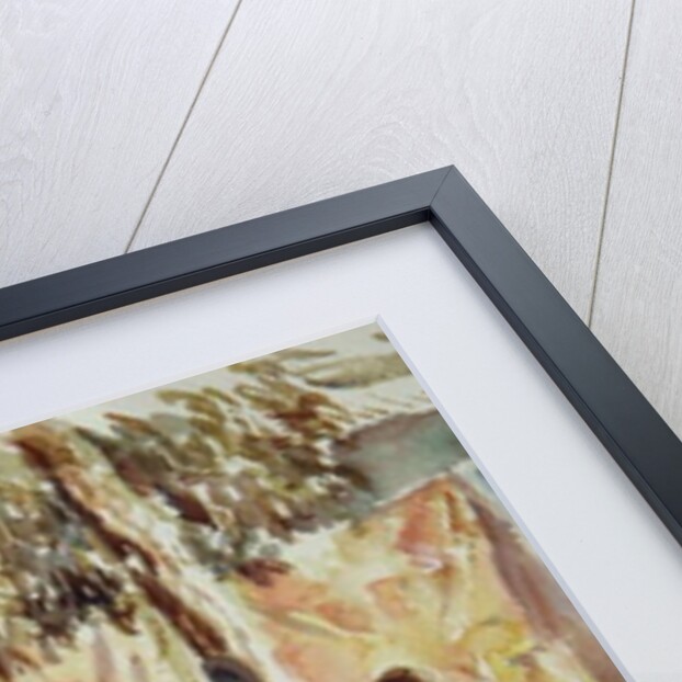 665 Nuts, seeds and wallhangings by Clive Wilson