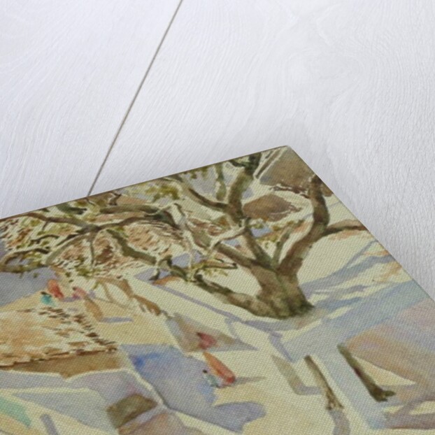 697 Village life, Rajasthan by Clive Wilson