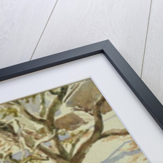 697 Village life, Rajasthan by Clive Wilson