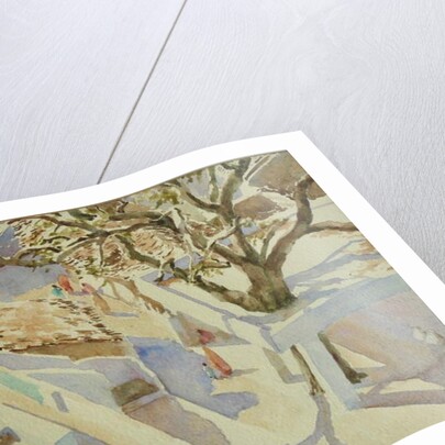 697 Village life, Rajasthan by Clive Wilson