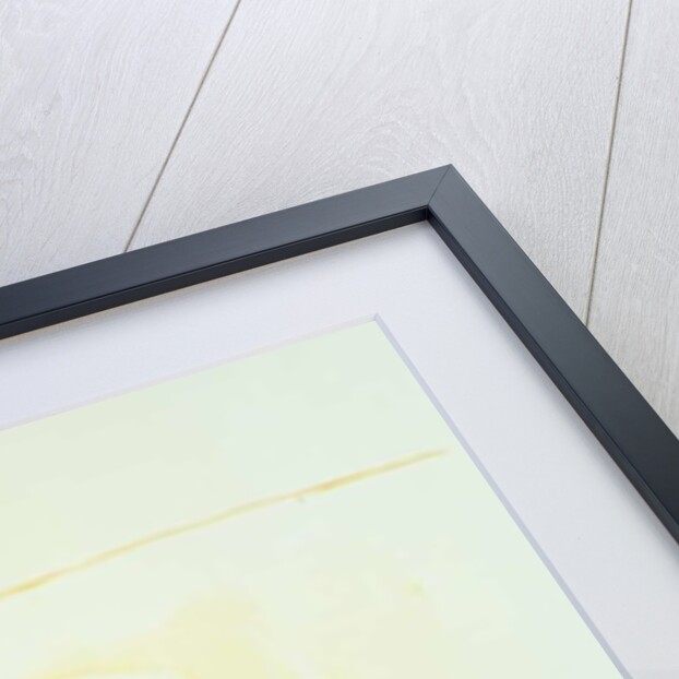 Architecture 14 by Daniel Cacouault