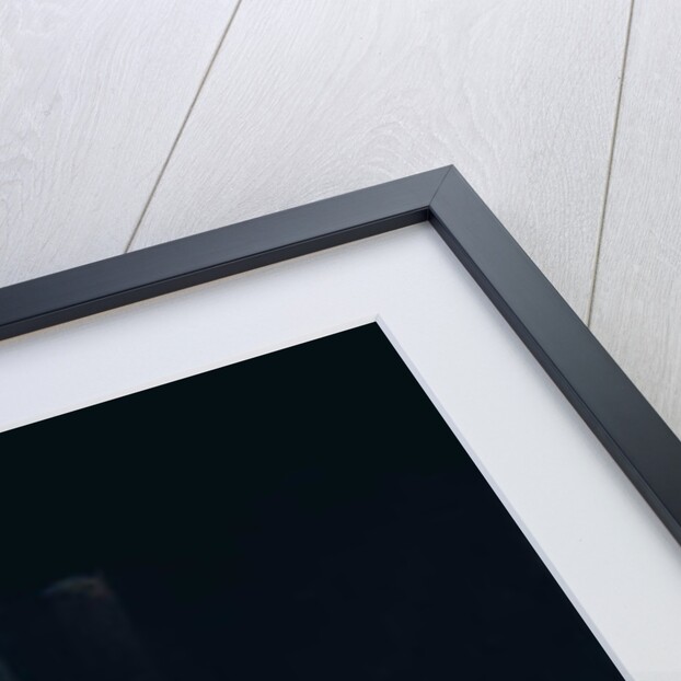 The Young Bride and her friends by Daniel Cacouault