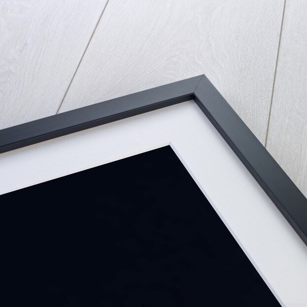 The Young Bride and the Dead Wives by Daniel Cacouault