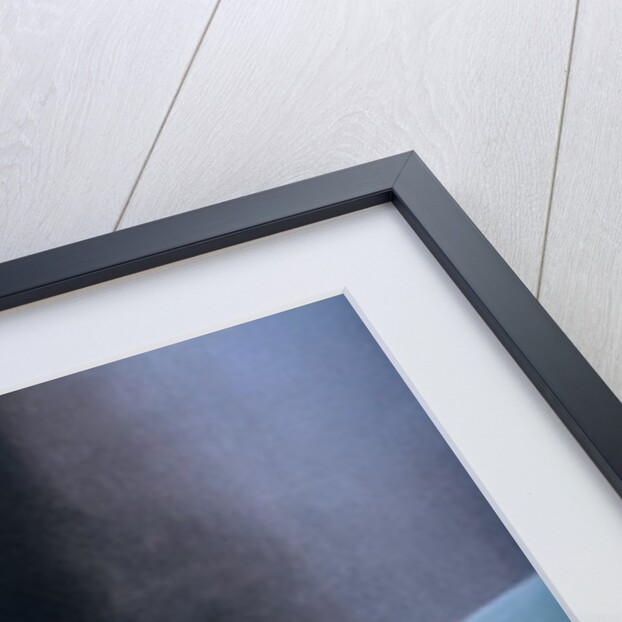 The Young Bride and the Dead Wives, detail by Daniel Cacouault