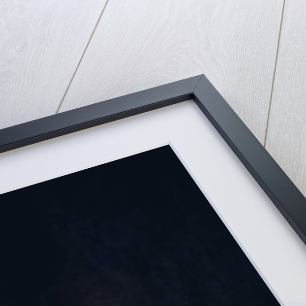 The death of Bluebeard by Daniel Cacouault