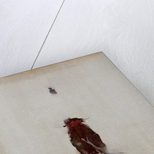 Bull by Daniel Cacouault