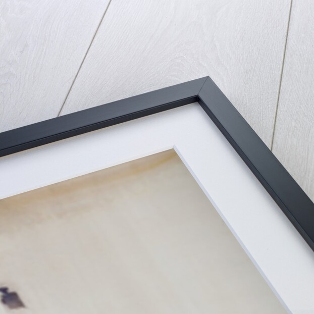 Bull by Daniel Cacouault