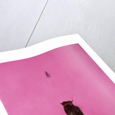 Bull by Daniel Cacouault