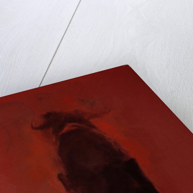 Bull by Daniel Cacouault