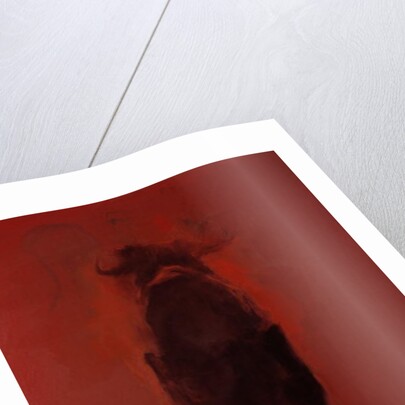 Bull by Daniel Cacouault