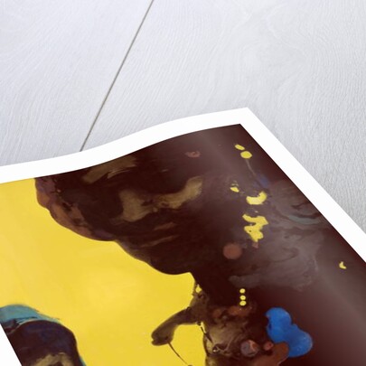 Portrait of an African Female by Daniel Cacouault