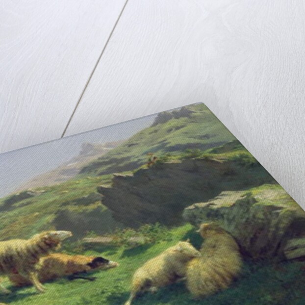 Sheep grazing in the Pyrenees by Rosa Bonheur