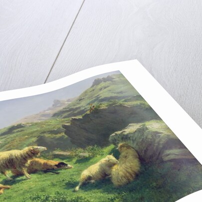 Sheep grazing in the Pyrenees by Rosa Bonheur