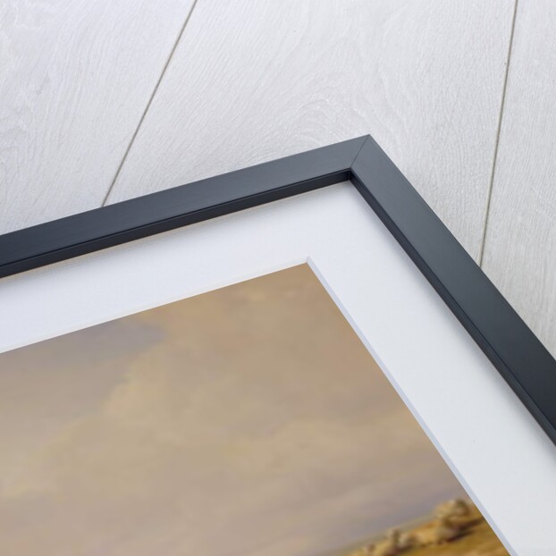 Sheep on the Coast, 1878 by Eugene Joseph Verboeckhoven