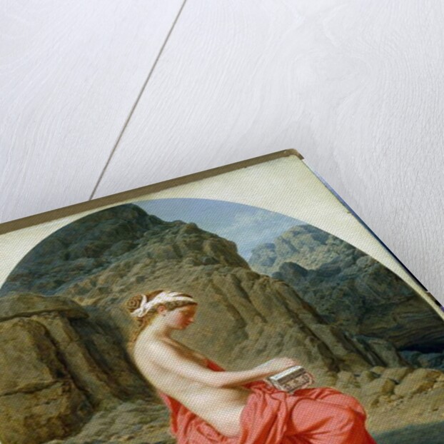 Pandora's Box by Paul-Cesaire Gariot