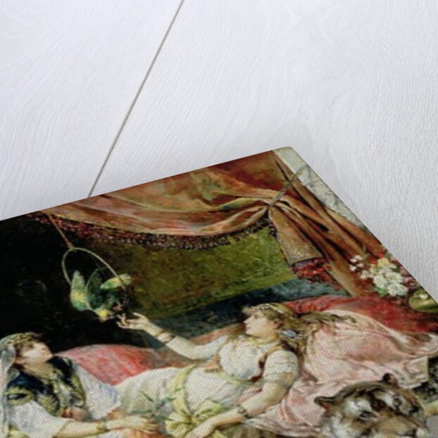 In the Harem by Juan Gimenez y Martin