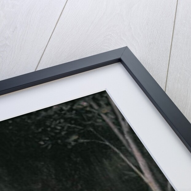 Diana by Jules Joseph Lefebvre