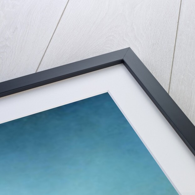 Caravan of Bedouins, 1863 by Francois Barry