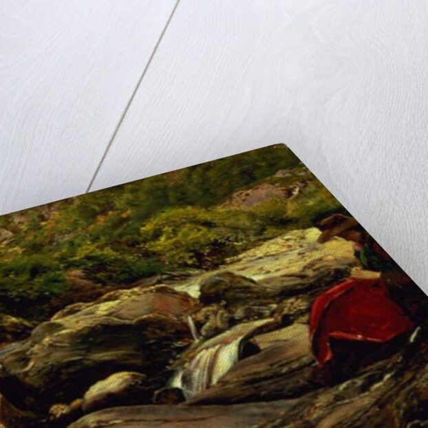 The Waterfall, 1853 by John Everett Millais