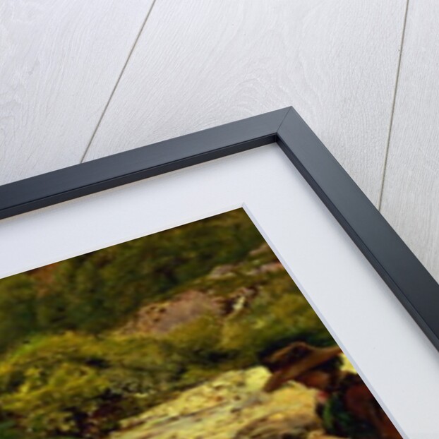 The Waterfall, 1853 by John Everett Millais