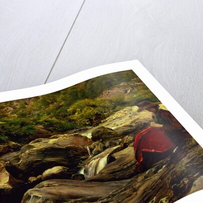 The Waterfall, 1853 by John Everett Millais