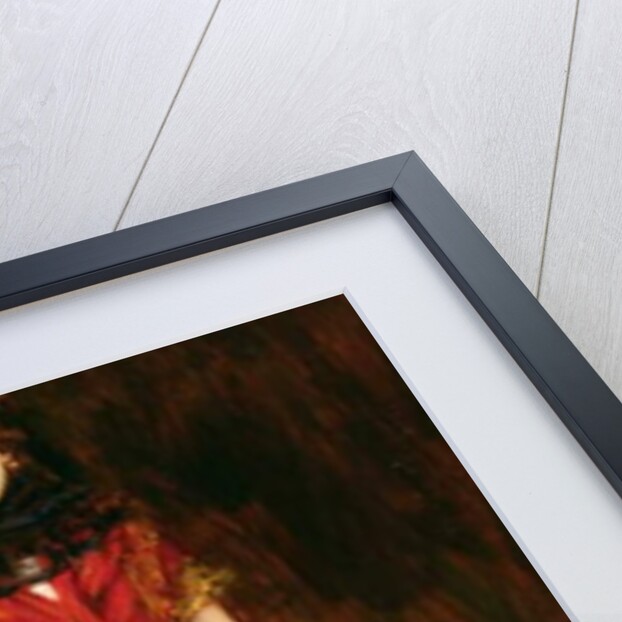 The Dancer by Howard Pyle